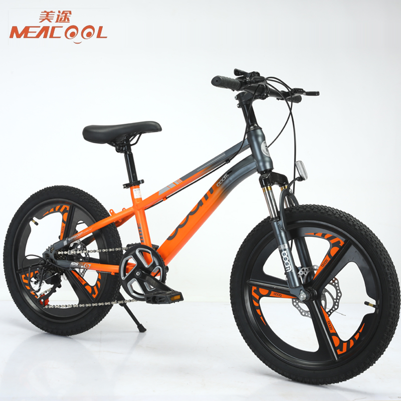 20 Inch Mountain Bike 7 Speed with Disc Brake