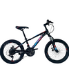 Popular Wholesale High Carbon Steel All Size MTB Bike for Boy and Girl