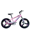 China Factory Mountain Bike Wholesale OEM