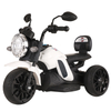 High Quality Mini Electric Three Wheel Motorcycle Electric Vehicle with Side Mount