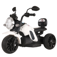 High Quality Mini Electric Three Wheel Motorcycle Electric Vehicle with Side Mount