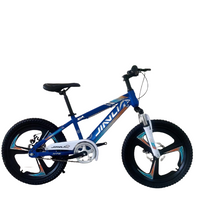China Factory Mountain Bike Wholesale OEM