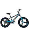 China Factory Mountain Bike Wholesale OEM
