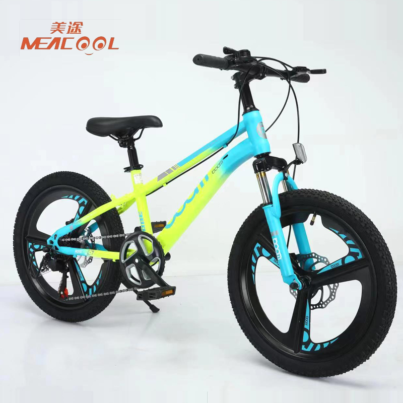 20 Inch Mountain Bike 7 Speed with Disc Brake