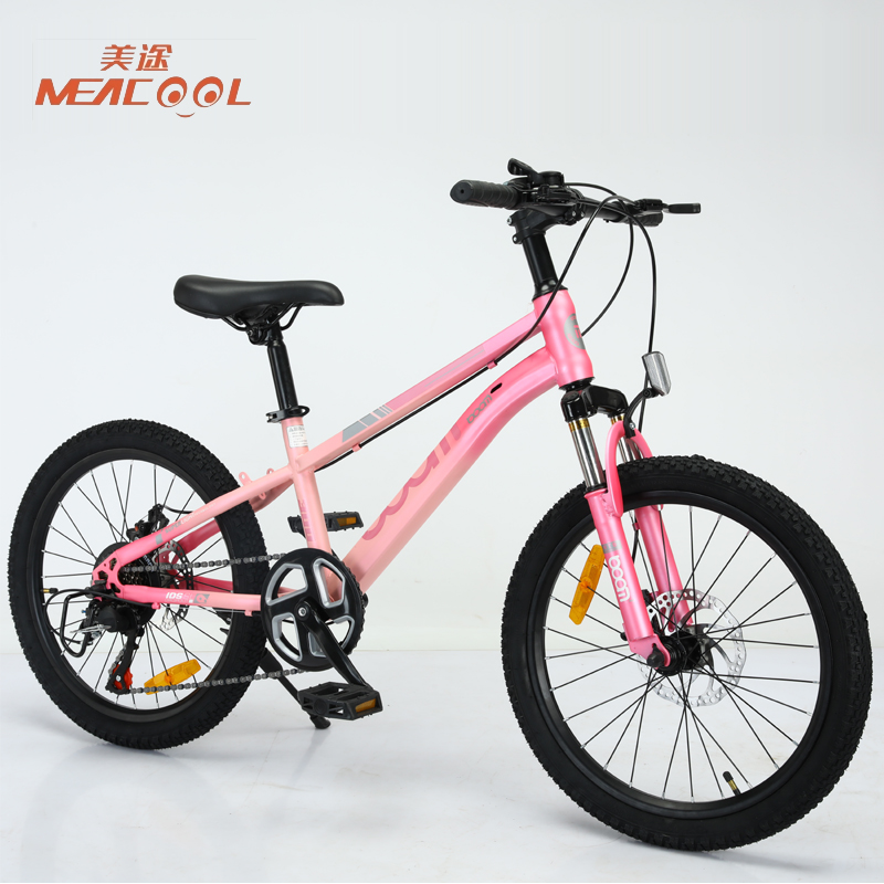 20 Inch Mountain Bike 7 Speed with Disc Brake