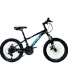 Popular Wholesale High Carbon Steel All Size MTB Bike for Boy and Girl