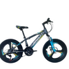 China Factory Mountain Bike Wholesale OEM