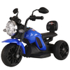 High Quality Mini Electric Three Wheel Motorcycle Electric Vehicle with Side Mount